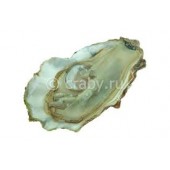 Устрицы Fine de Claire Special Cadoret №2 Франция