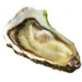 Устрицы Perle Noier №2, (Черный Жемчуг) Франция