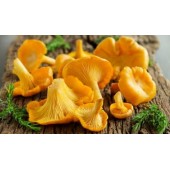 Грибы лисички, с/м Европа.1кг.